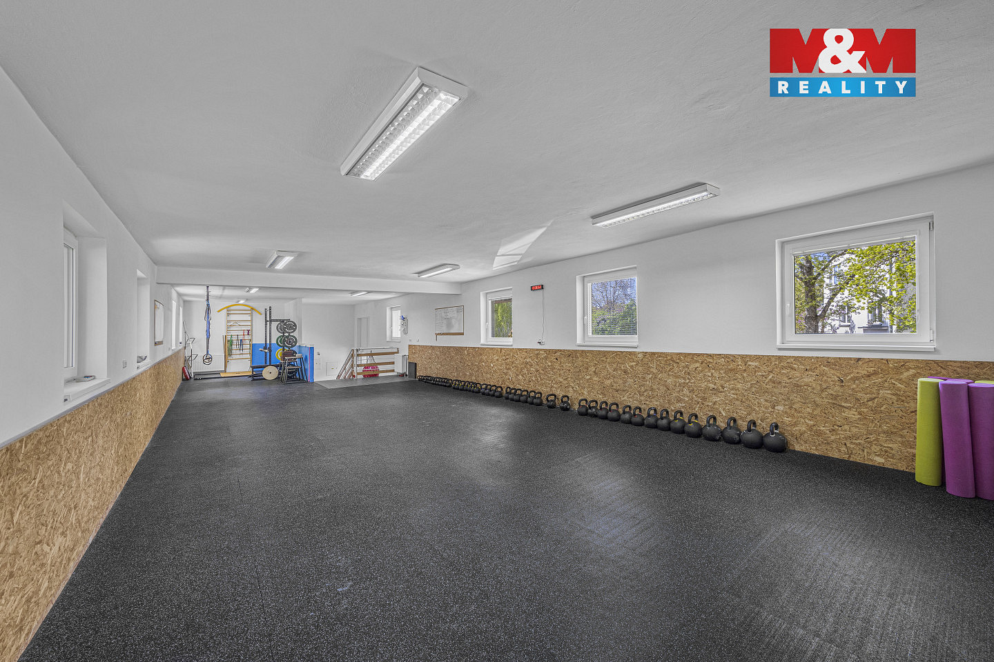 Prodej obchodních prostor 195 m² — photo 4