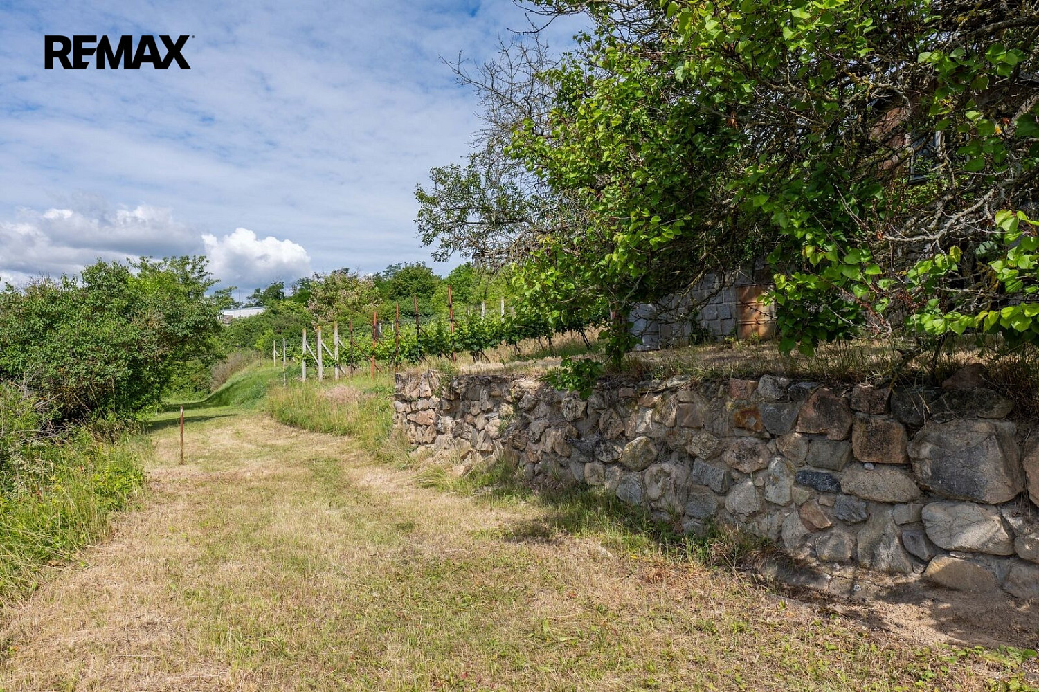 Fotka 16 z 30