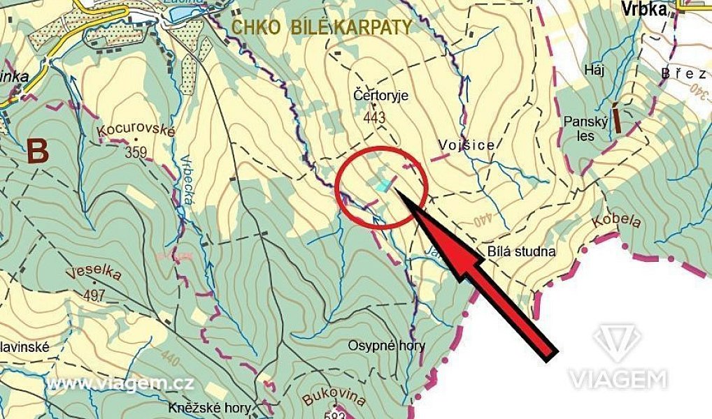 Prodej pole 5 305 m², Kněždub – náhled fotky 4