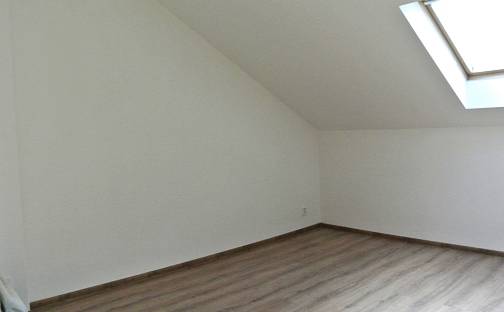 Prodej bytu 1+1 45 m²