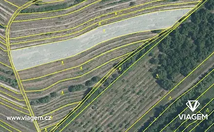 Prodej pole 4 619 m², Lovčičky, okres Vyškov