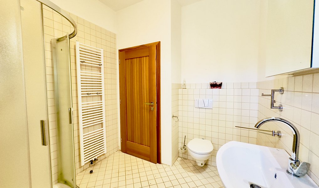 Prodej domu 324 m², Blatná – náhled fotky 14