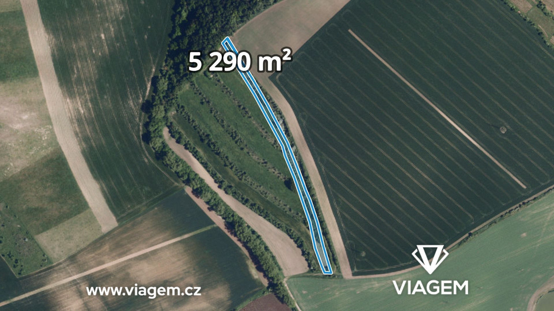 Prodej pole 1 763 m²