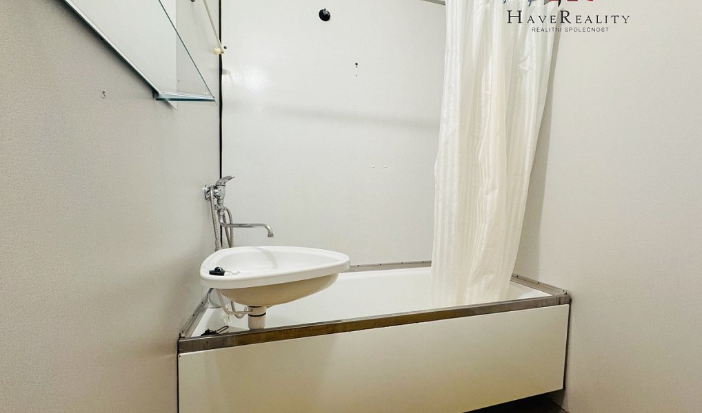 Pronájem bytu 1+1 46 m², Benešov – náhled fotky 8