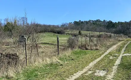 Prodej zahrady 520 m², Nová, Mikulov, okres Břeclav