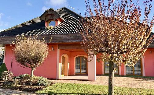 Prodej domu 295 m² s pozemkem 2 077 m², Strančice - Všechromy, okres Praha-východ