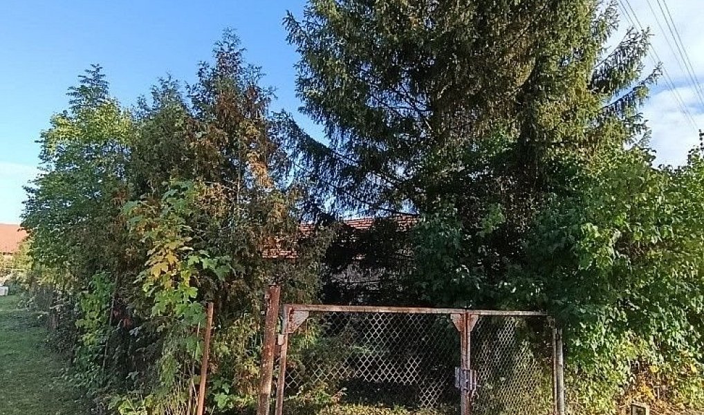 Prodej stavebního pozemku 1 232 m², Hluchov – náhled fotky 13