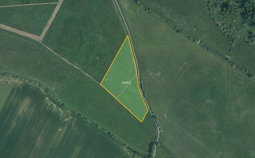 Prodej louky 19 761 m², Borkovice, okres Tábor