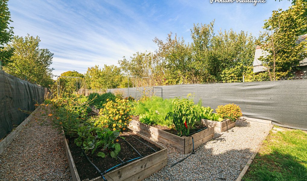 Prodej zahrady 890 m², Šlapanice – náhled fotky 4