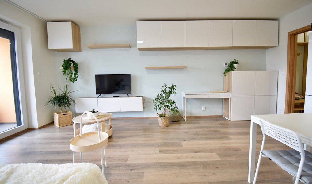 Pronájem bytu 1+kk 41 m², Olomouc – náhled fotky 5