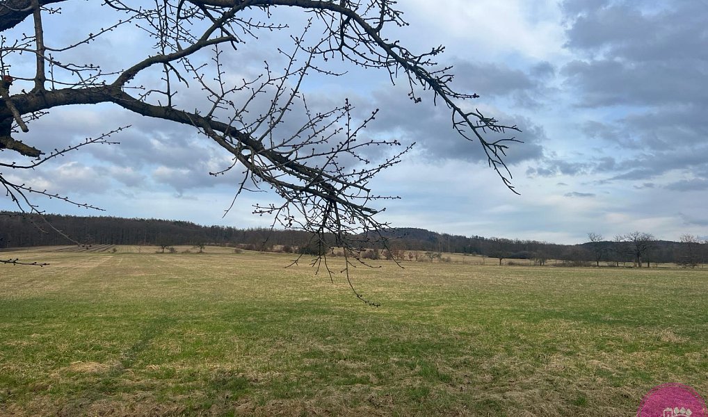 Prodej pole 13 030 m², Bělkovice-Lašťany – náhled fotky 3