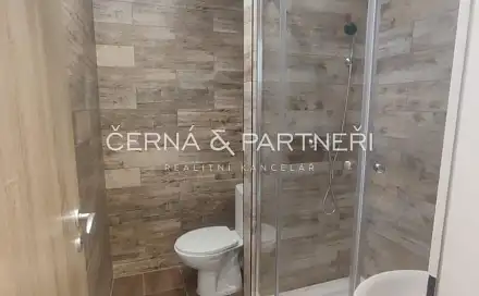 Pronájem bytu 1+kk 21 m², Seifertova, Chomutov