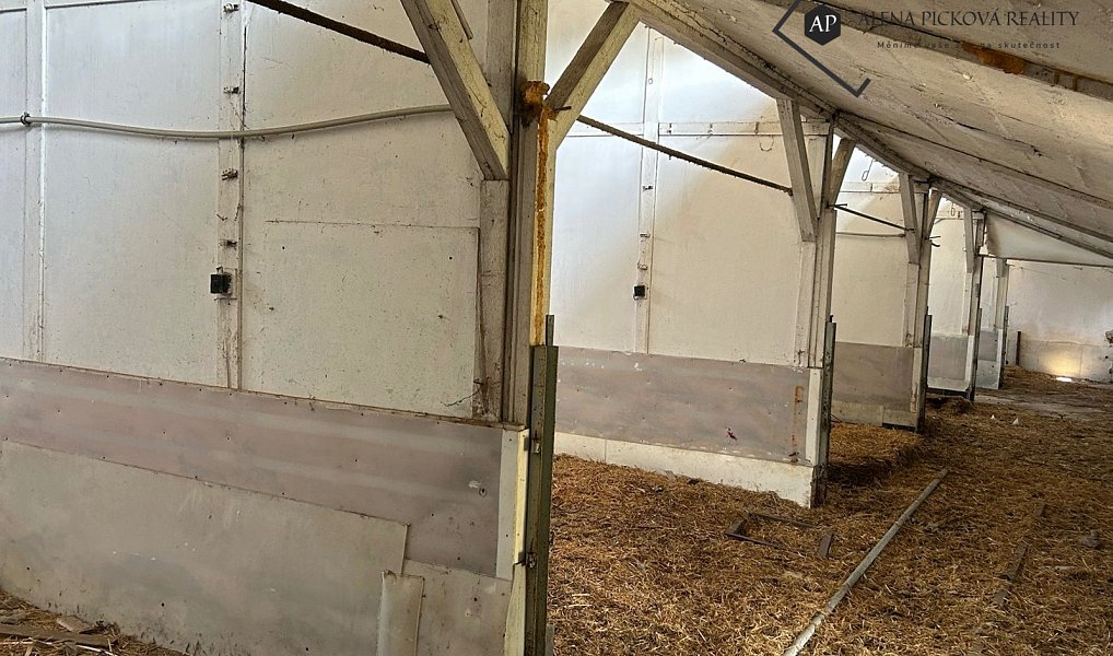 Prodej zemědělského objektu 1 200 m², Louka – náhled fotky 7