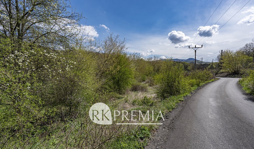Prodej zahrady 4 353 m², Bžany – náhled fotky 4