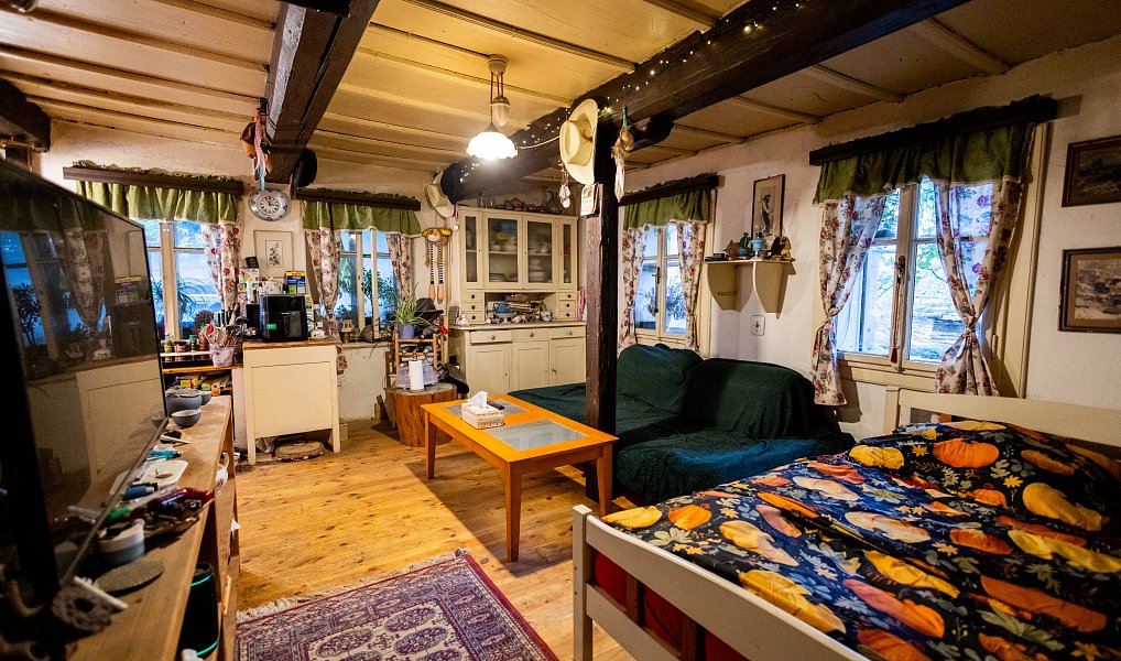 Prodej domu 60 m² s pozemkem 13 269 m², Litíč – náhled fotky 16