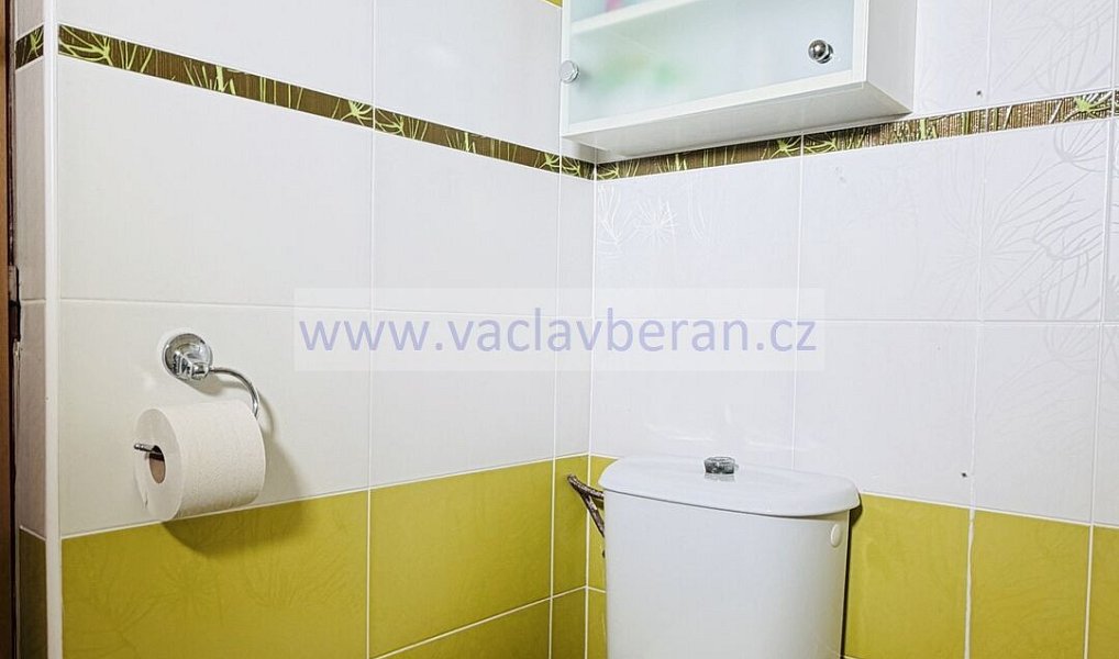 Prodej domu 378 m² s pozemkem 1 656 m², Litomyšl – náhled fotky 18