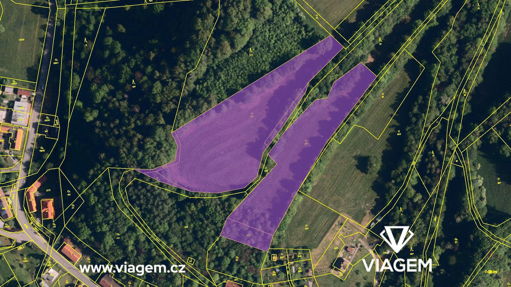 Prodej pole 4 650 m² – fotografie 3