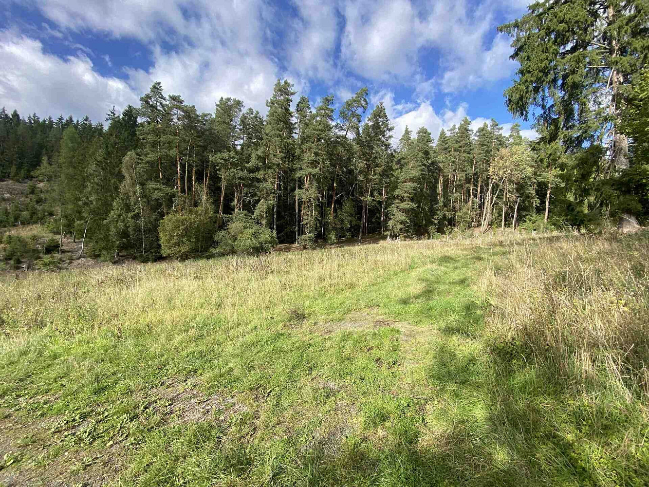 Prodej pole 7 068 m²