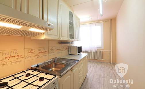 Pronájem bytu 2+1 62 m², Sokolovská, Plzeň - Bolevec