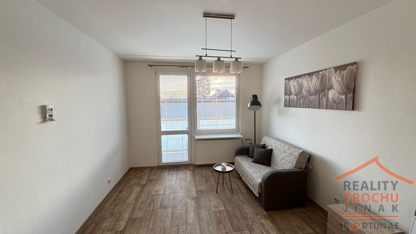 Pronájem bytu 1+1 36 m² – fotografie 3