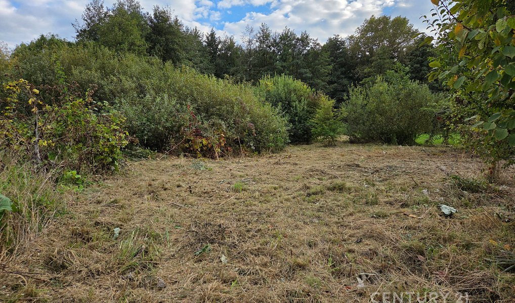 Prodej domu 233 m² s pozemkem 1 748 m², Choťánky – náhled fotky 14