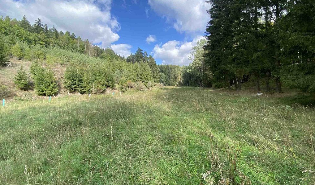 Prodej pole 7 068 m², Krsy – náhled fotky 3