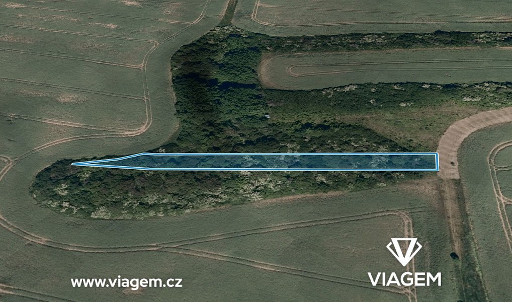 Prodej pole 595 m², Březolupy – náhled fotky 2