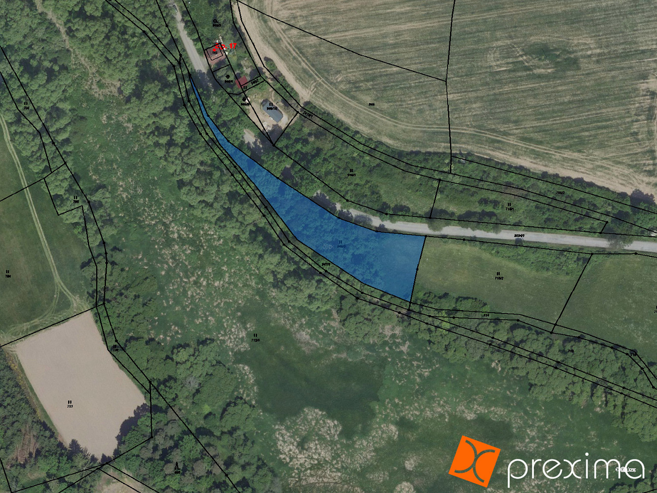 Prodej lesa 1 142 m²