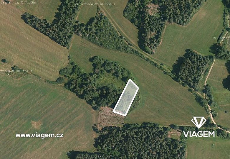 Prodej lesa 1 232 m²