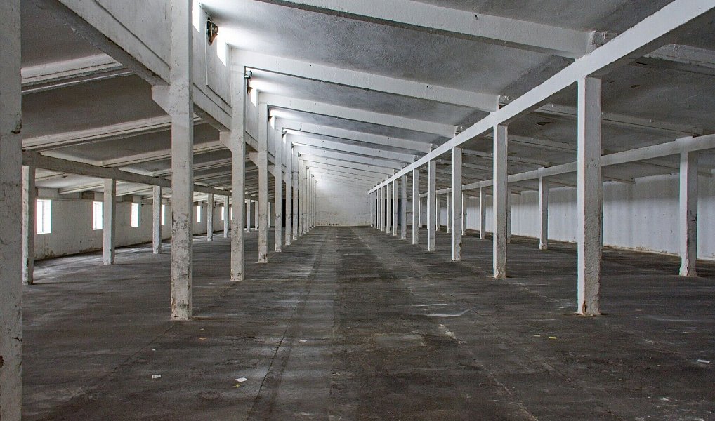 Pronájem skladovacích prostor 1 611 m², Holohlavy – náhled fotky 4