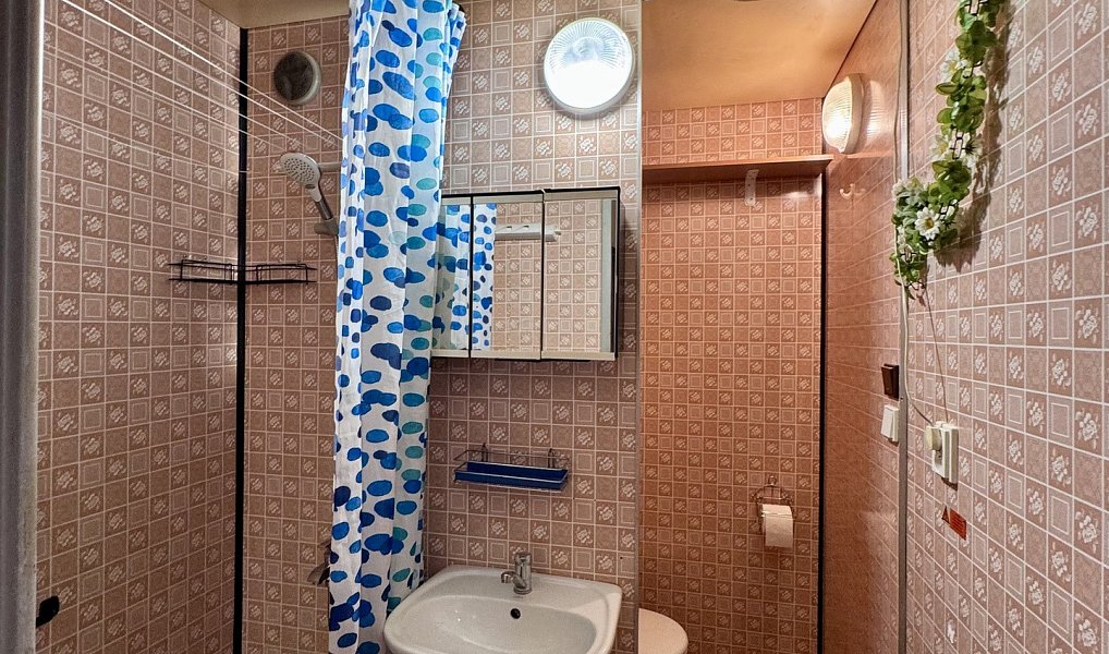 Prodej bytu 2+1 44 m², Český Těšín – náhled fotky 13