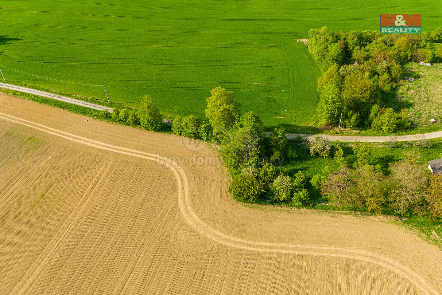 Prodej pole 842 m² – fotografie 5