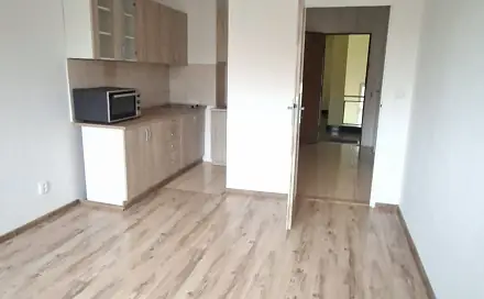 Pronájem bytu 1+1 48 m²