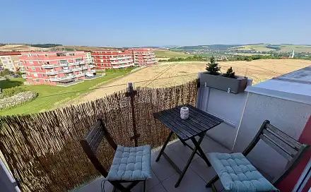 Pronájem bytu 1+kk 41 m², Hrušková, Uherské Hradiště - Sady