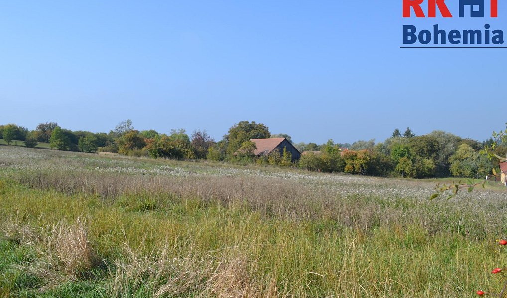 Prodej chaty/chalupy 120 m² s pozemkem 16 365 m², Cholenice – náhled fotky 10