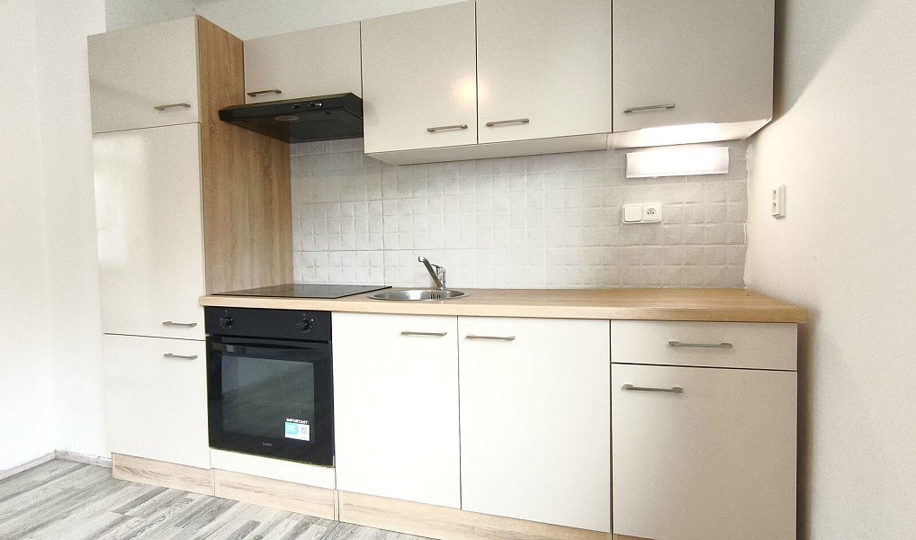 Pronájem domu 186 m² s pozemkem 1 018 m², Bezdědovice – náhled fotky 8