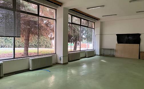 Pronájem výrobních prostor 1 m², Nová, Bučovice, okres Vyškov