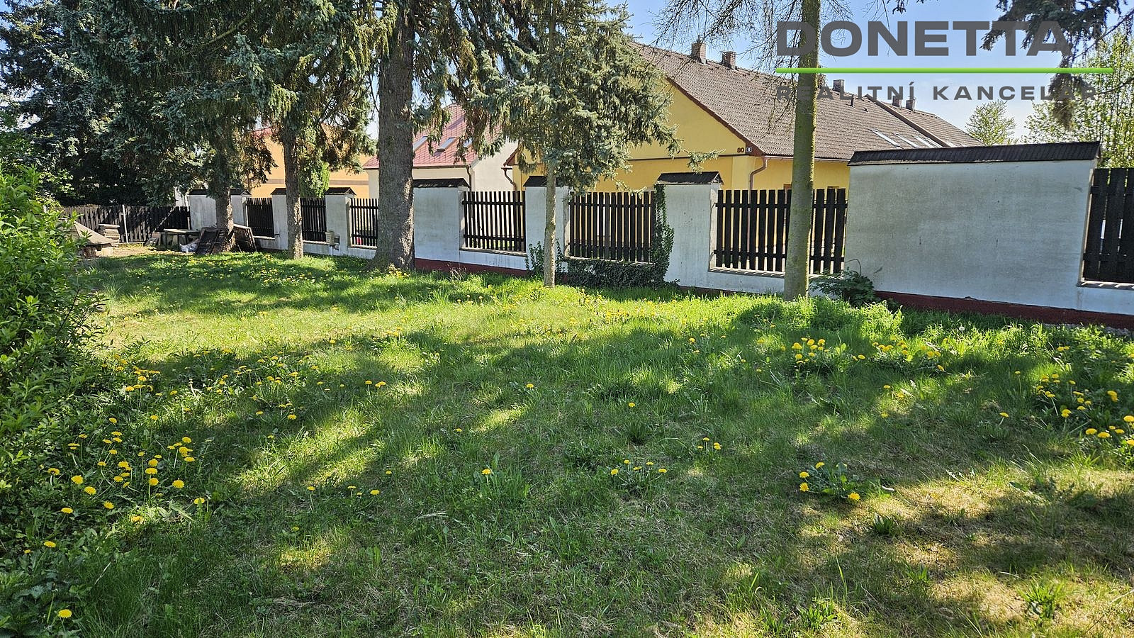 Fotka 9 z 12