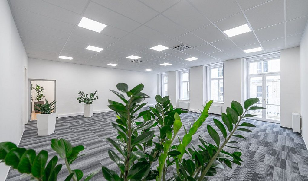 Pronájem kanceláře 115 m², Praha – náhled fotky 6