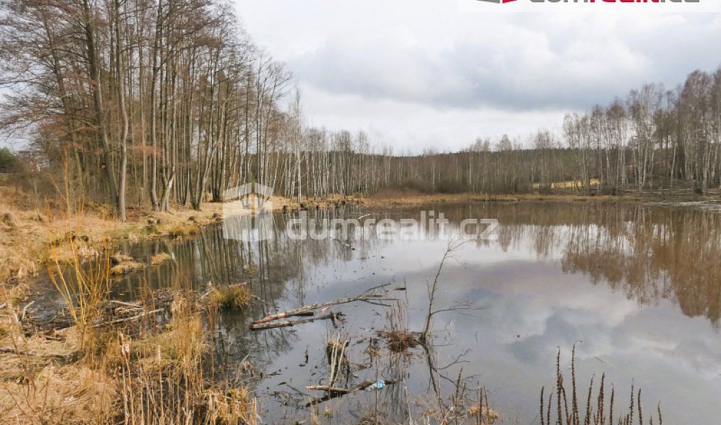 Prodej vodní plochy 3 974 m², Pomezí nad Ohří – náhled fotky 9