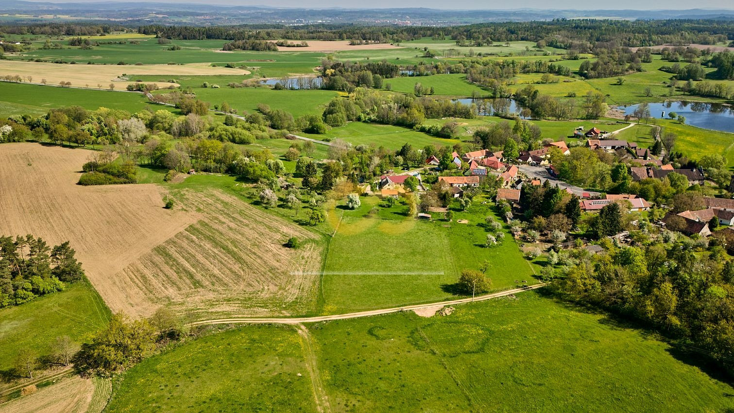 Prodej stavebního pozemku 8 000 m² – fotografie 5