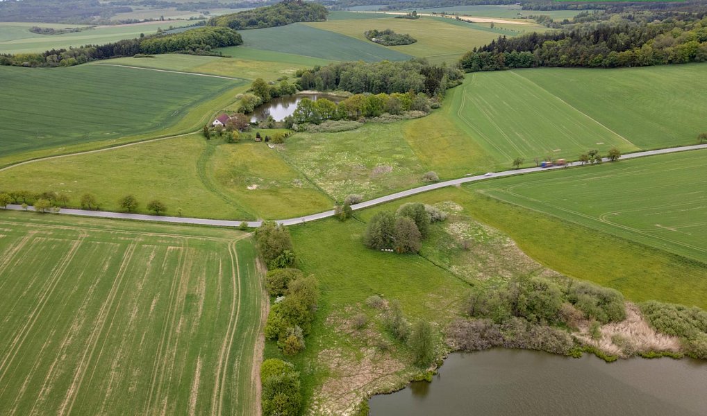 Prodej louky 5 250 m², Mladý Smolivec – náhled fotky 3