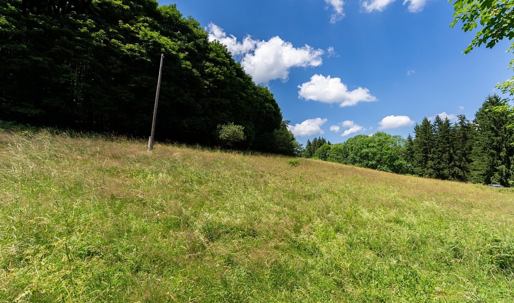 Prodej stavebního pozemku 1 065 m², Klíny – náhled fotky 5