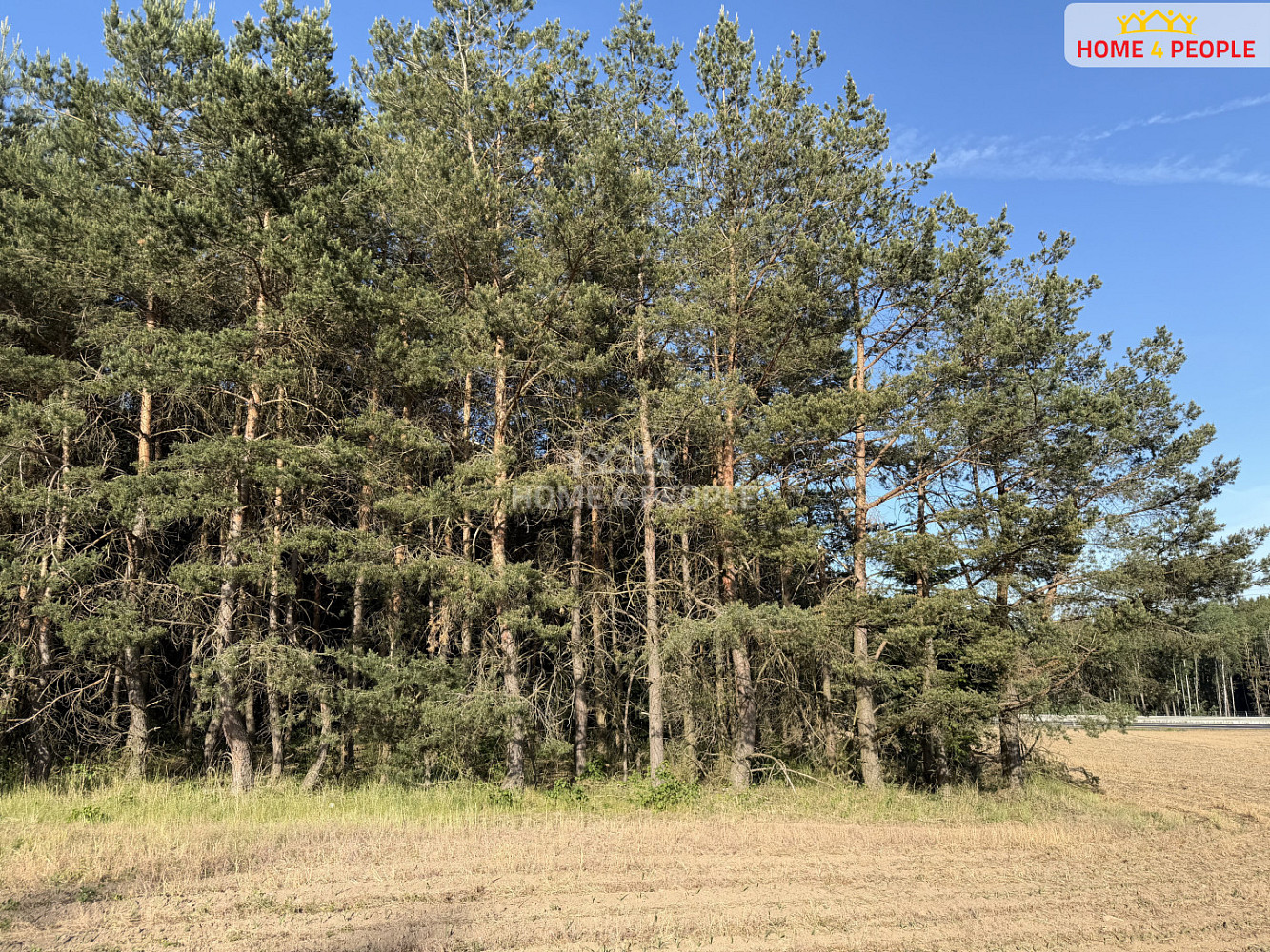 Prodej lesa 4 000 m² — photo 3