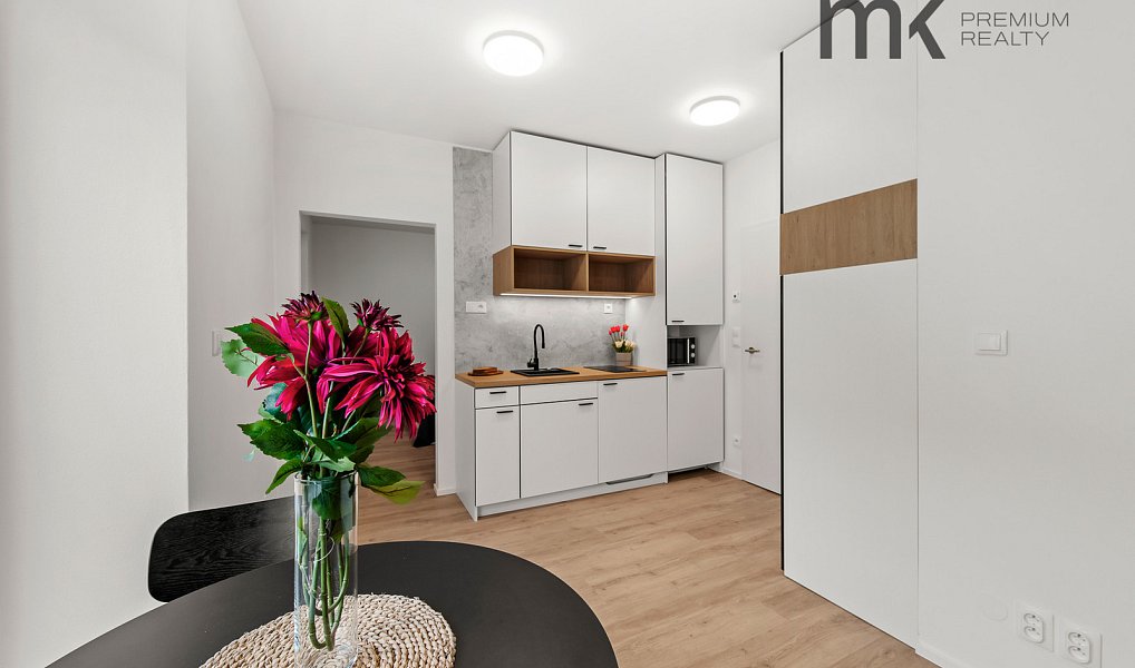 Pronájem bytu 1+1 32 m², Praha – náhled fotky 4