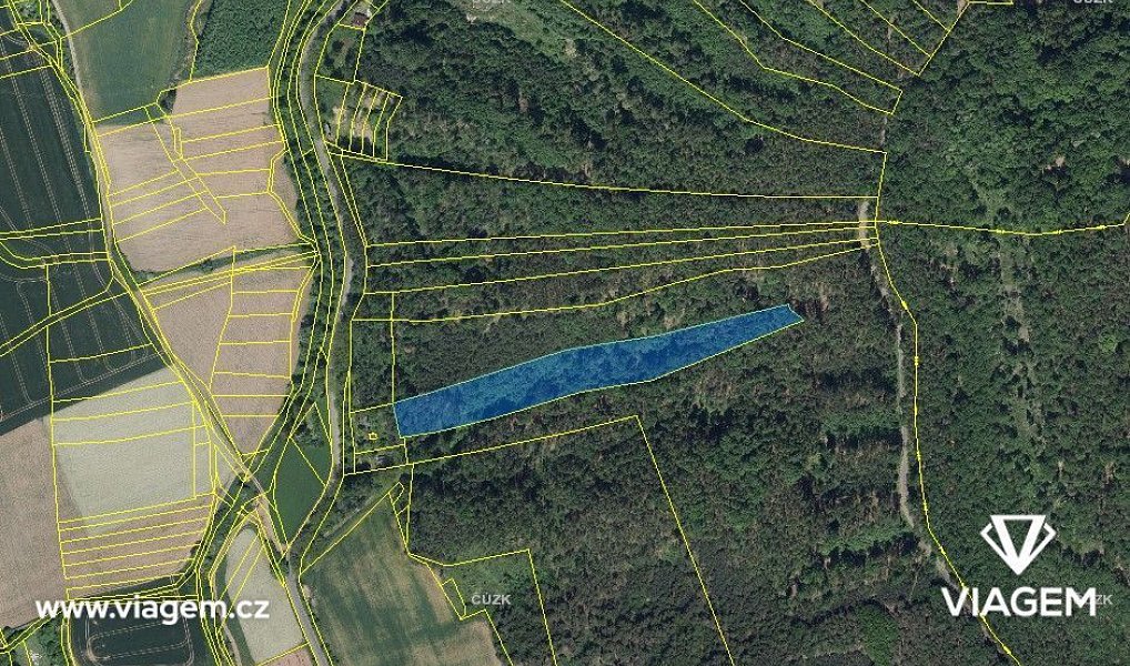 Prodej lesa 5 452 m², Hřivice – náhled fotky 3
