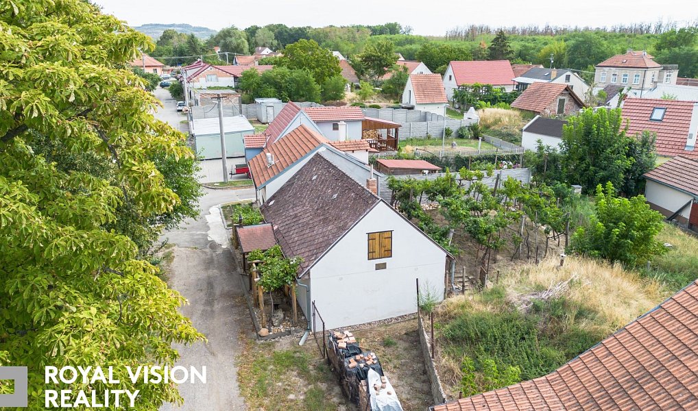 Habánský sklep v Březí historie, vinařská tradice a jedinečný potenciál, Březí – náhled fotky 4