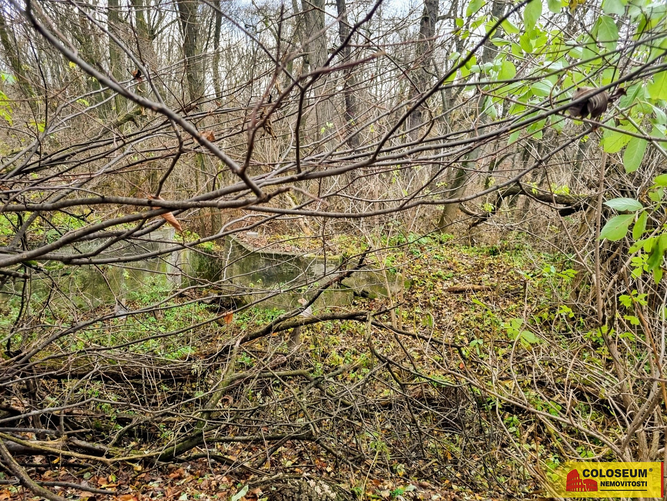 Prodej stavebního pozemku 3 392 m² – fotografie 2