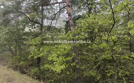Prodej lesa 16 m², Jesenice, okres Rakovník
