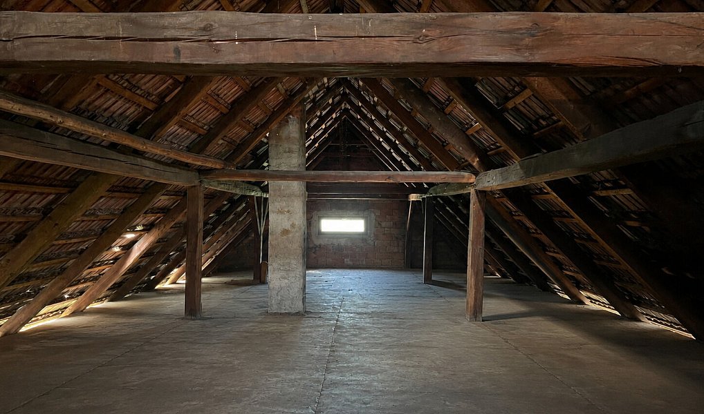 Prodej domu 100 m² s pozemkem 1 416 m², Horní Jelení – náhled fotky 20